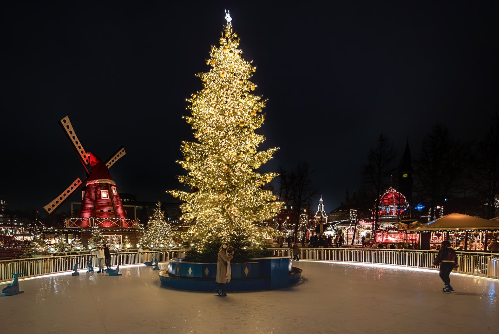 patinoire jardins tivoli patinoire jardins tivoli