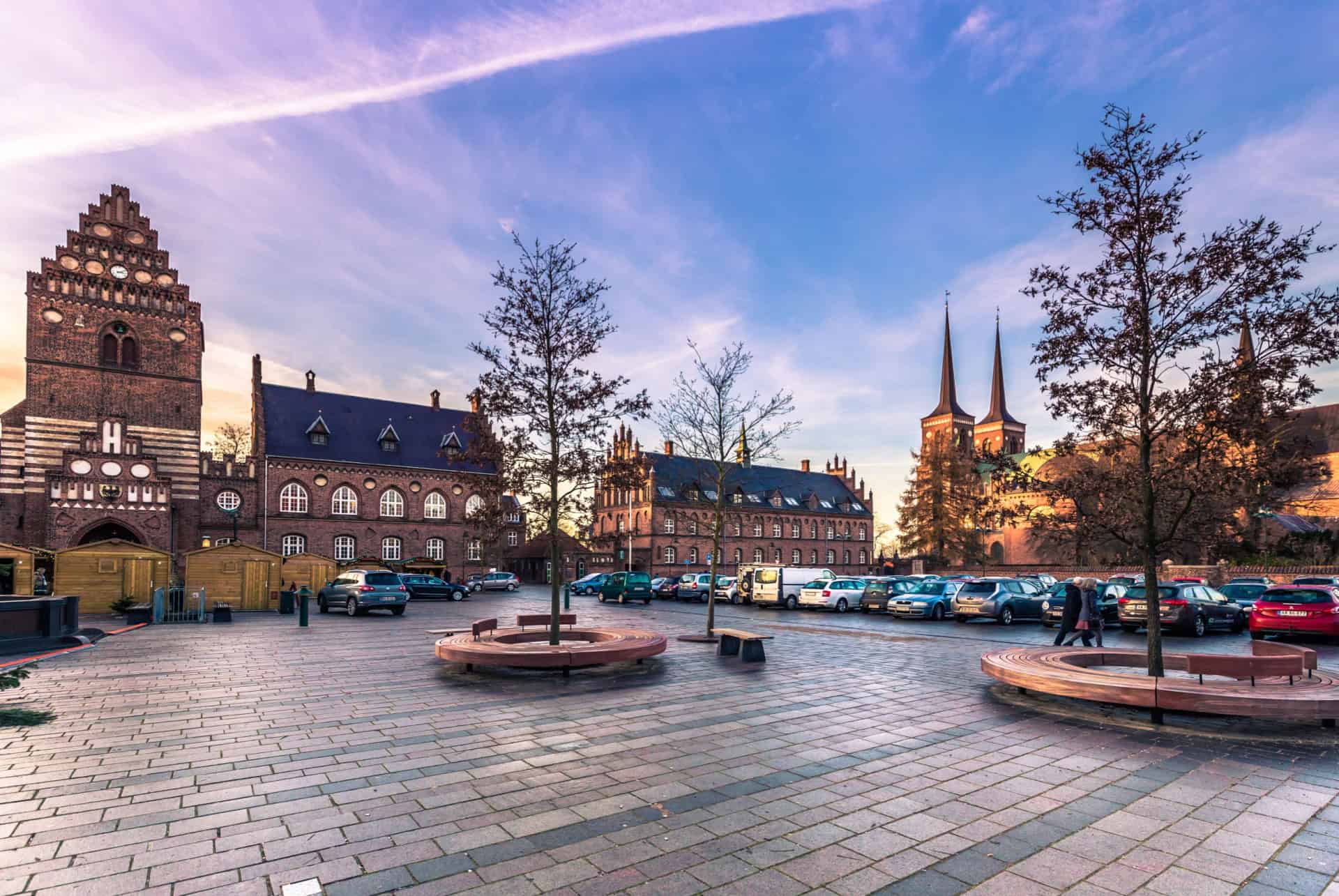 excursion roskilde copenhague en janvier
