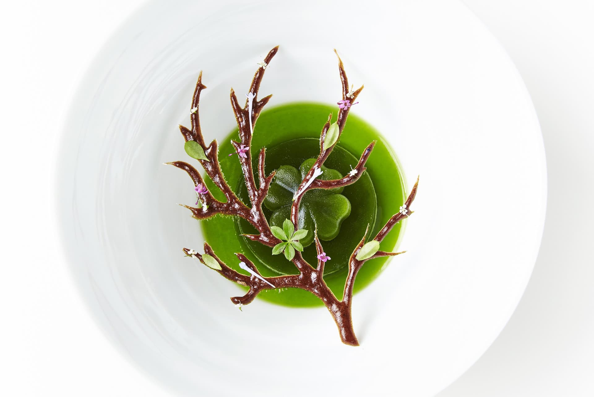le geranium restaurant