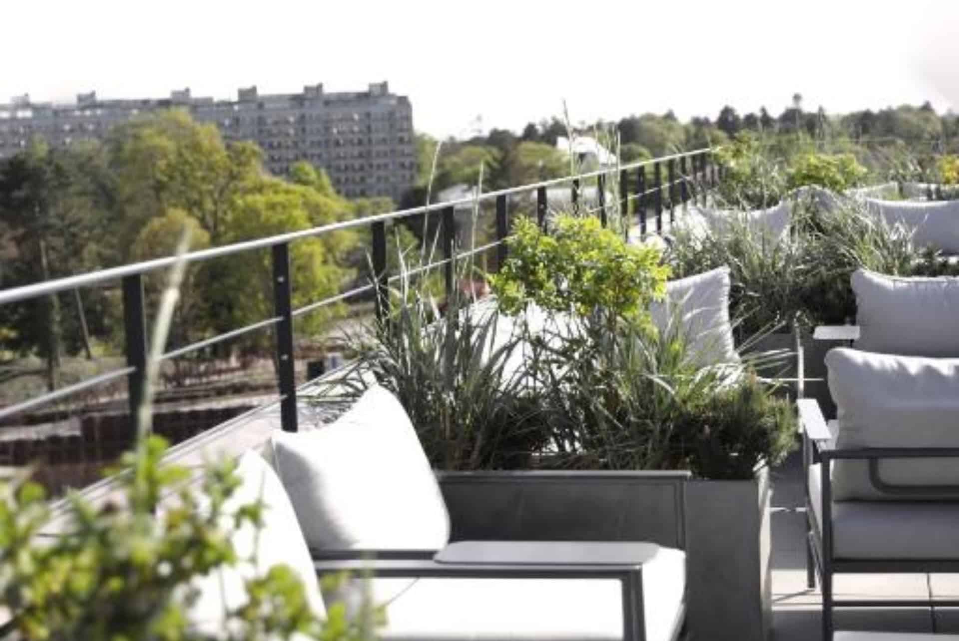 hotel ottilia rooftops