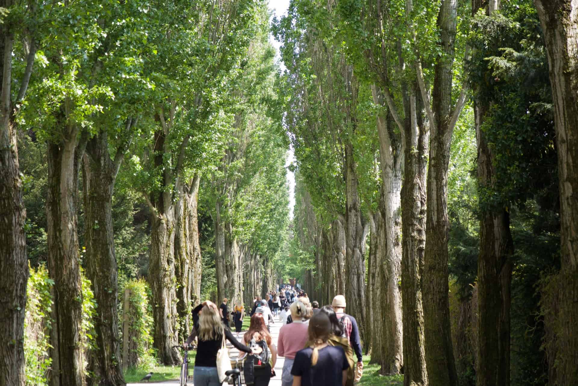 assistens kirkegard