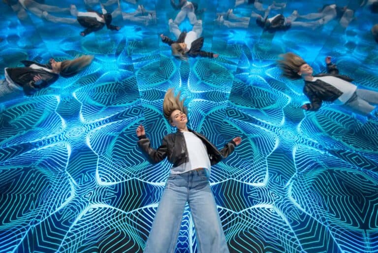 Billet pour le Museum of Illusions