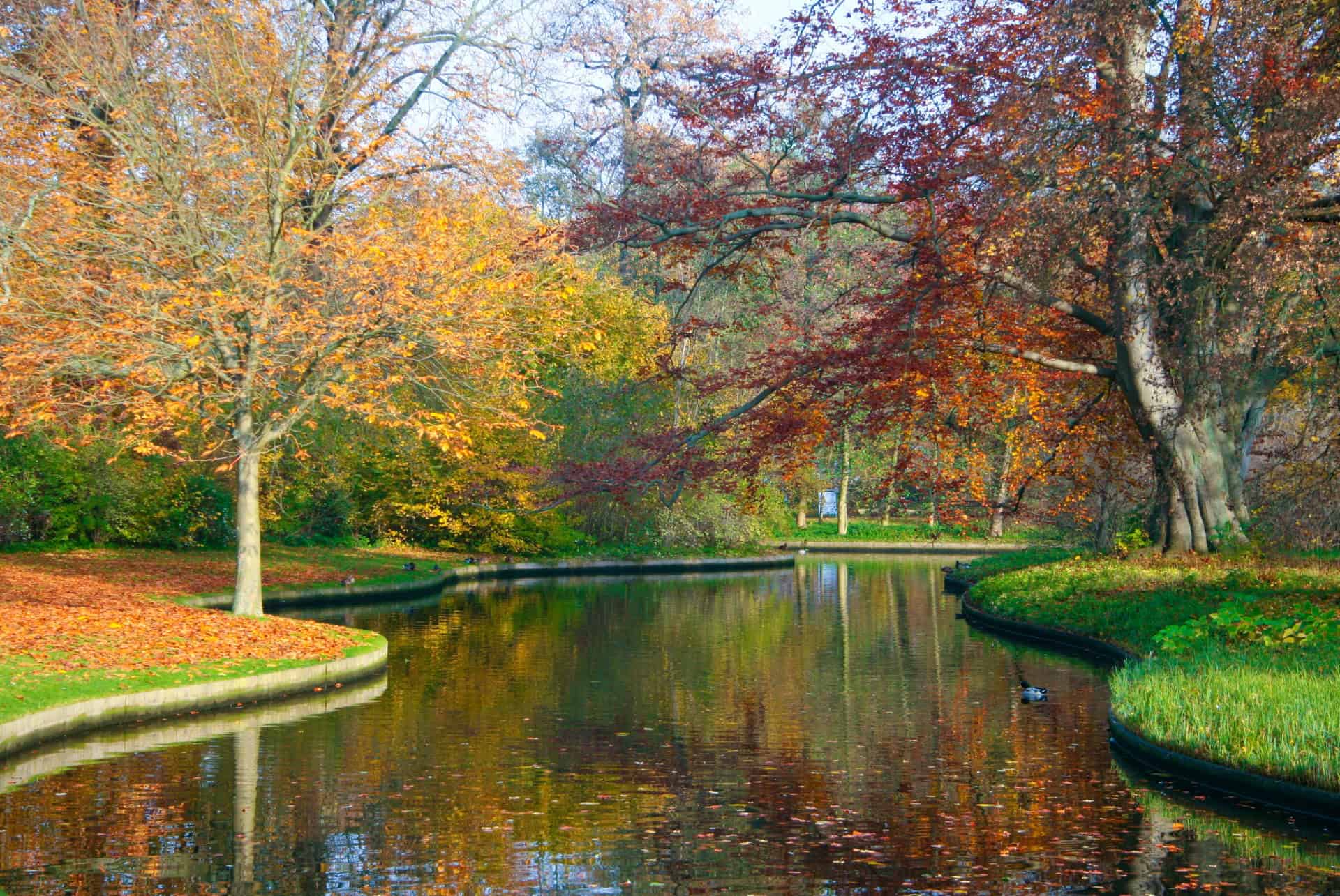 automne parc frederiksberg automne parc frederiksberg