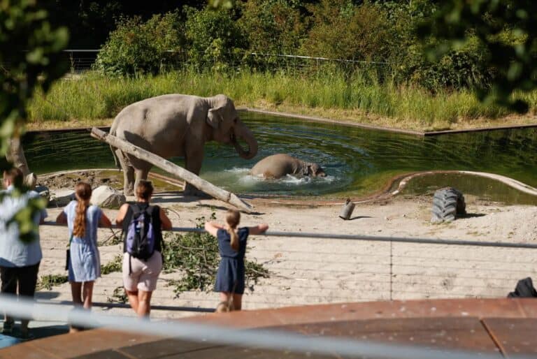 Entrée au Zoo de Copenhague